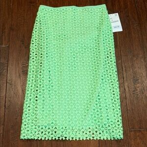 NWT XL Zara Light Green Lace Pencil Skirt w/ Slip underneath. Not see through!!